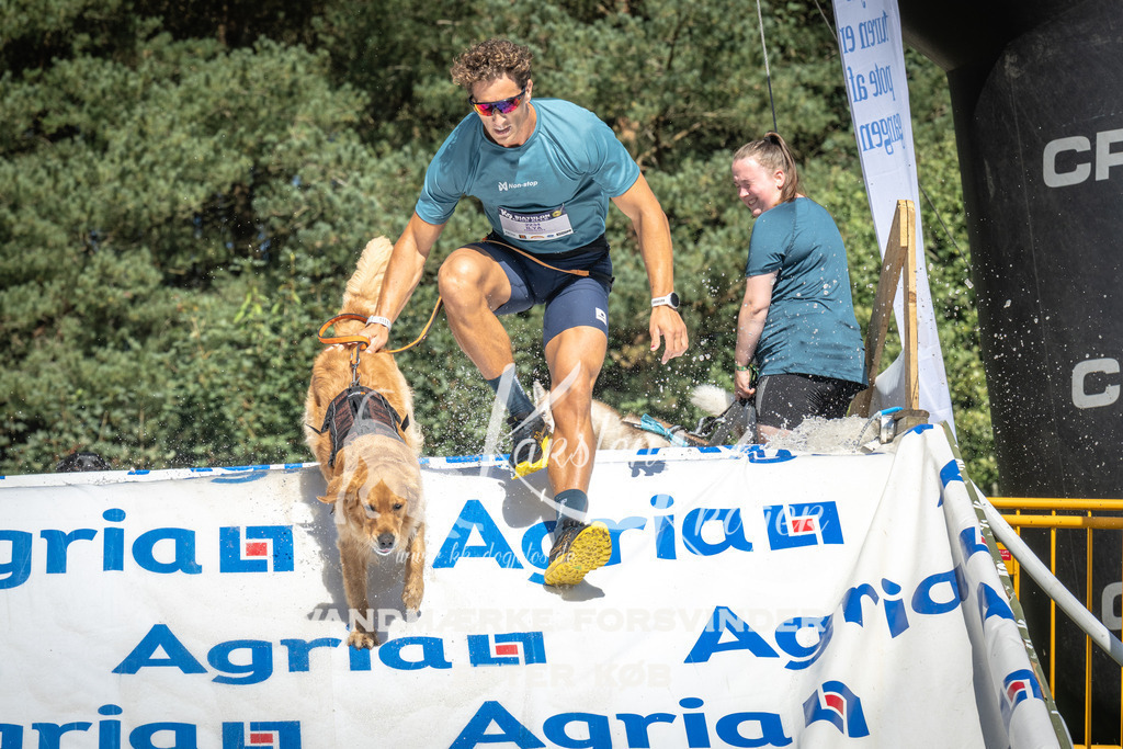 1439_ZZ95354 | kk-dogfotos