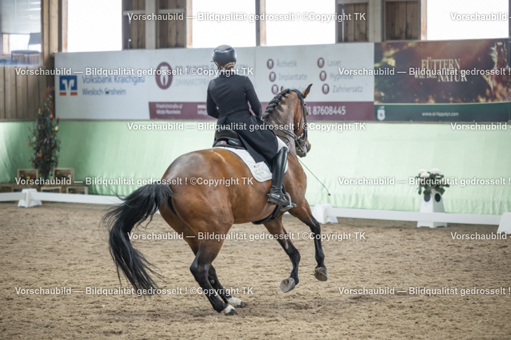 _D5A6356 | Emotionale Pferde- & People-Fotografie rund um Heidelberg, Leimen & Umgebung. Natürliche Fotos von Pferd, Mensch & Familie. Jetzt Termin sichern!