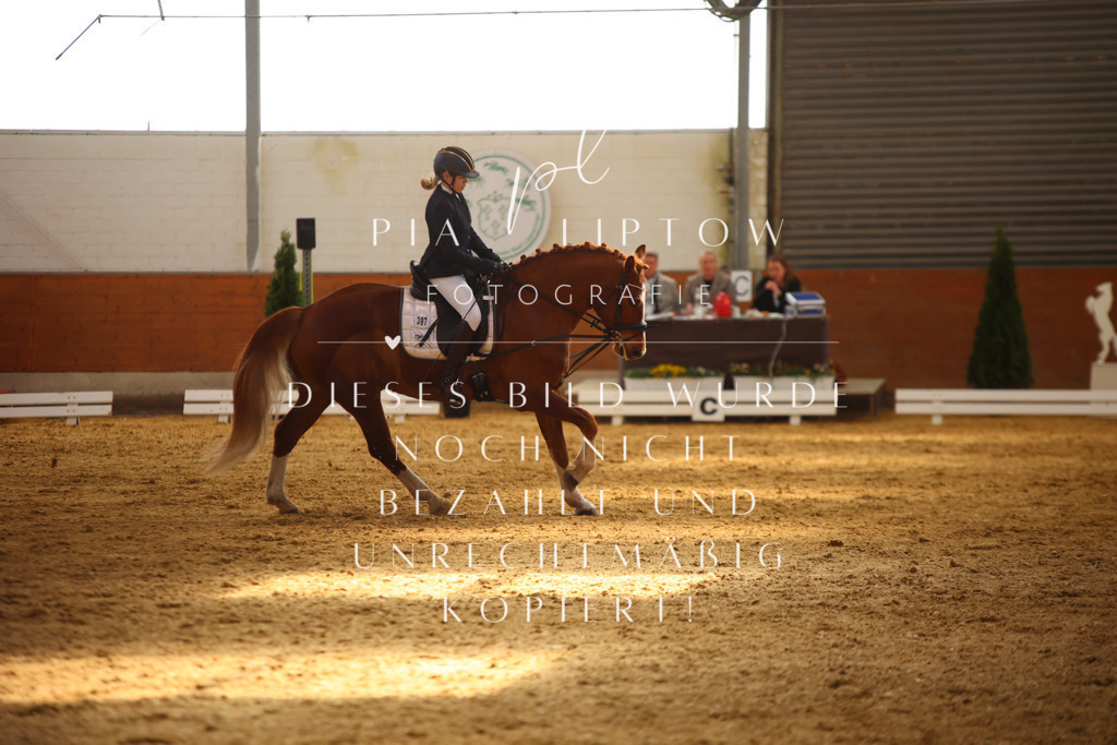 IMGT0704 | pl-fotografie