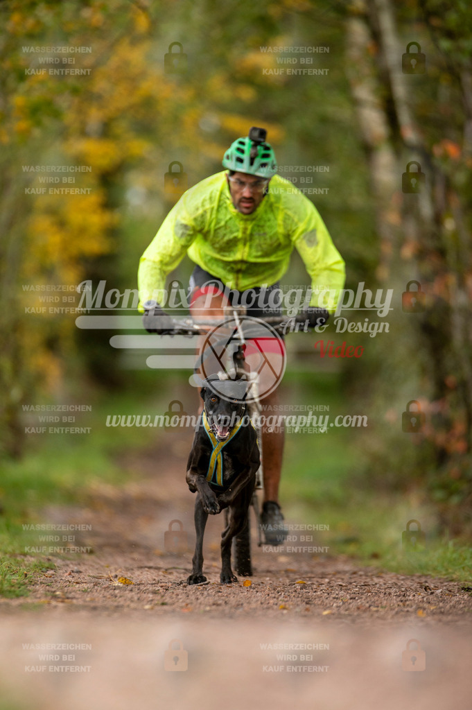 TSB_2023_E4_Bike-5 | PayLife