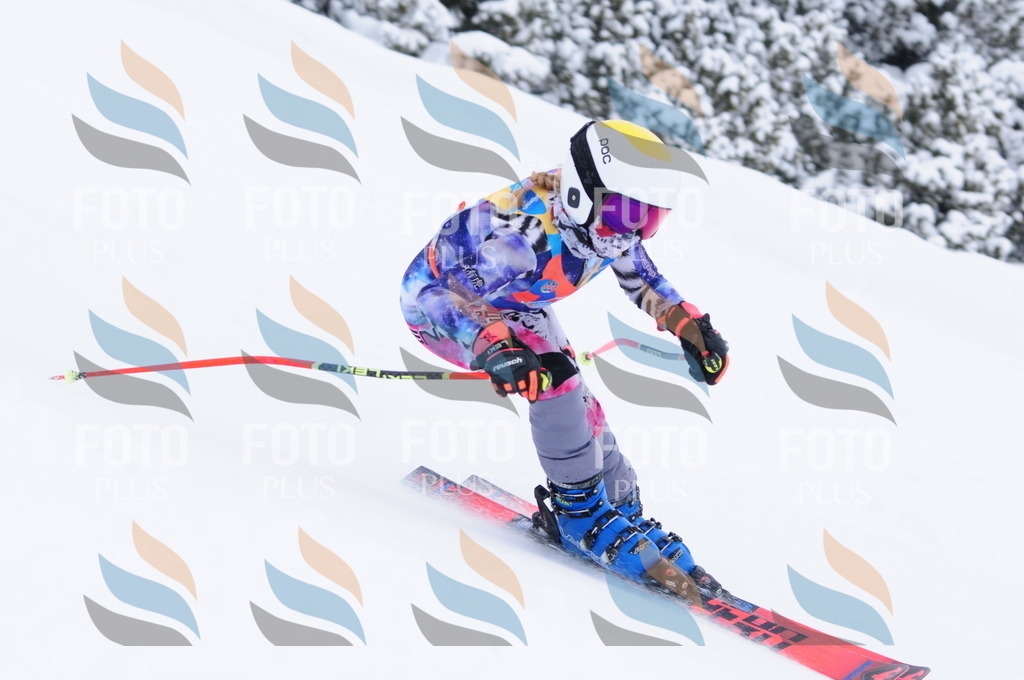 C3764 | holidayphoto