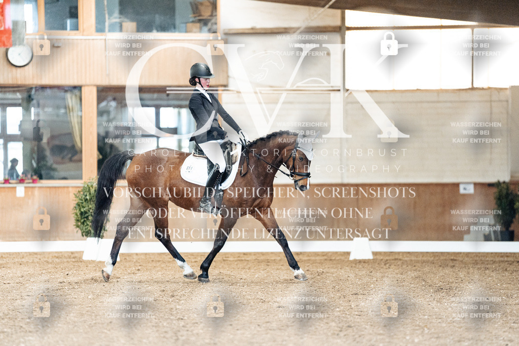 CK900709 | Turnierfotografie Pferdefotografie Trier Rheinland-Pfalz Pferdesport Reitsport Tierfotografie Sportfotografie Pferdevideo Pferdevideografie Equestrianvideography equestrianphotography  - Realisiert mit Pictrs.com