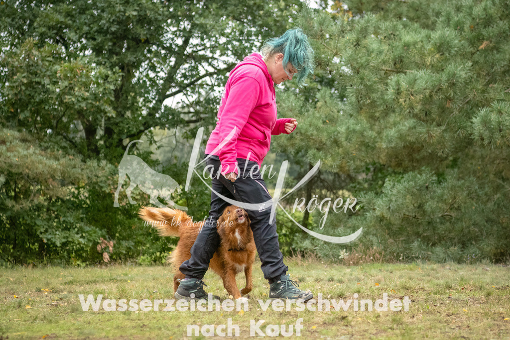 1452_ZZ93720-2-Bearbeitet | kk-dogfotos