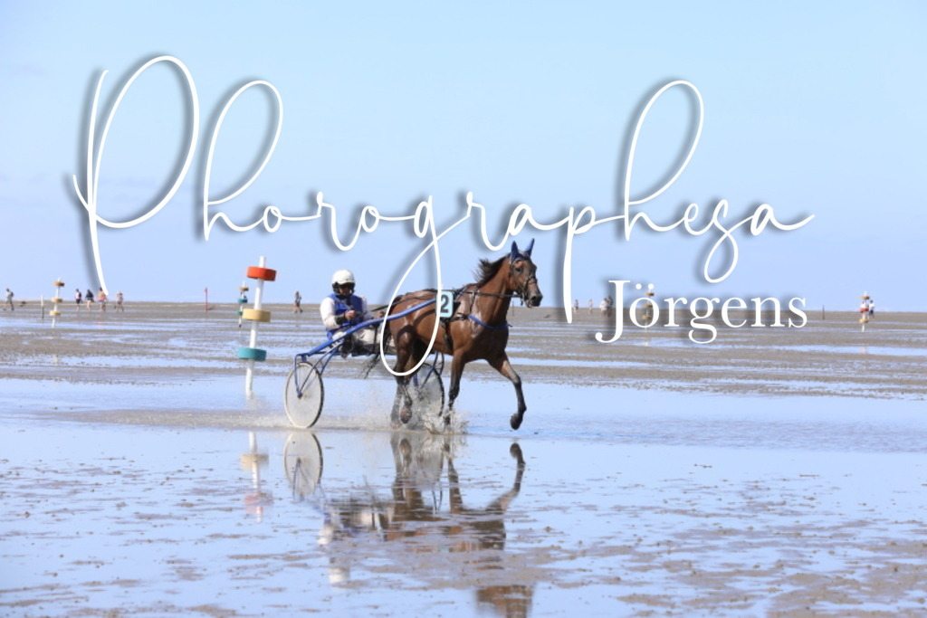 IMG_9157 | photographesa-joergens - Realisiert mit Pictrs.com