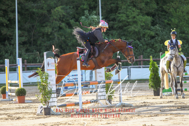 DKP45175 | Turnierfotos kaufen im Webshop von Daniel Kuhl Photography – entdecke professionelle Reitsportfotos aus Turnieren & Events. Hochwertige Turnierbilder online bestellen & sichern. Jetzt Fotos von Reitsportturnieren kaufen!