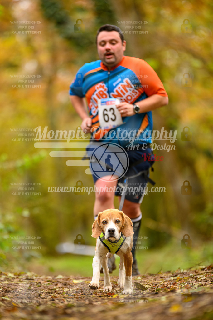 MompixPhotography_Bischwiller24_SA_Canicross-136 | mompixphotography