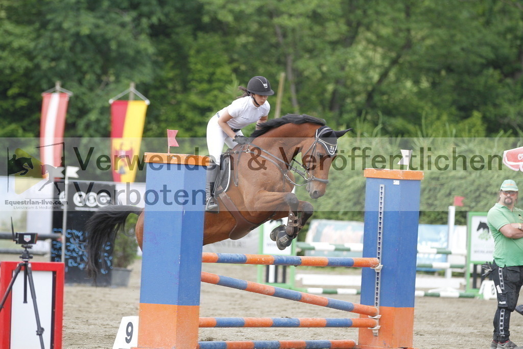 _MG_6798 | equestrian-live-com