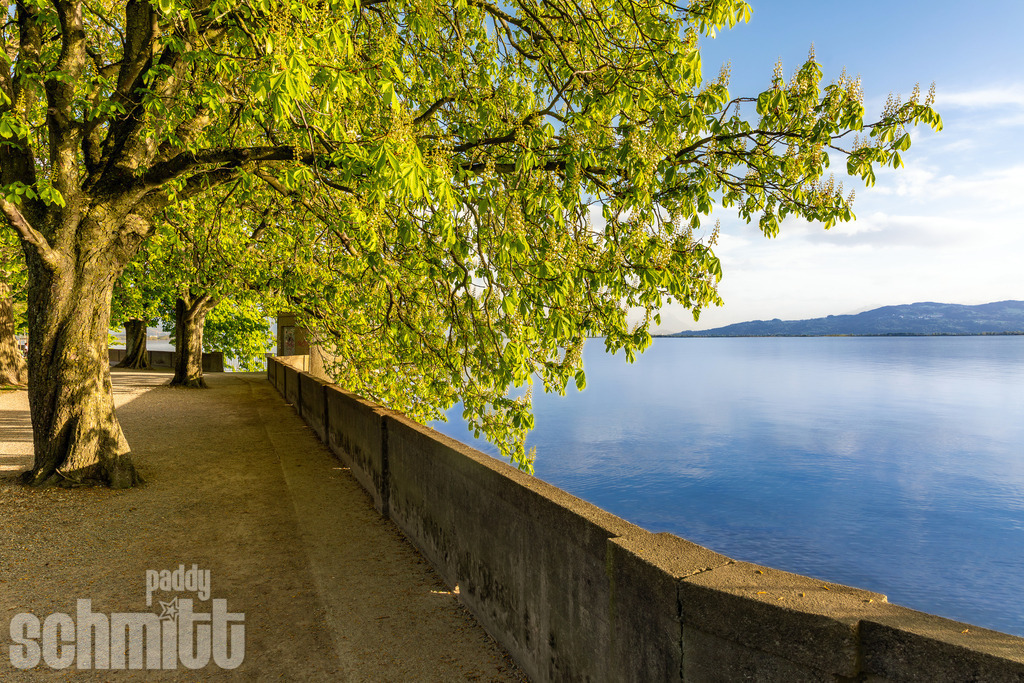 Seepromenade bei Lindau am Bodensee | Die Seepromenade bei Lindau lädt mit ihrem weiten Blick über den Bodensee zum Flanieren und Verweilen ein. Das ruhige Wasser, die Uferkulisse und die besondere Atmosphäre der Lindauer Insel machen diesen Ort zu einem stimmungsvollen Motiv zu jeder Tageszeit. - Realisiert mit Pictrs.com