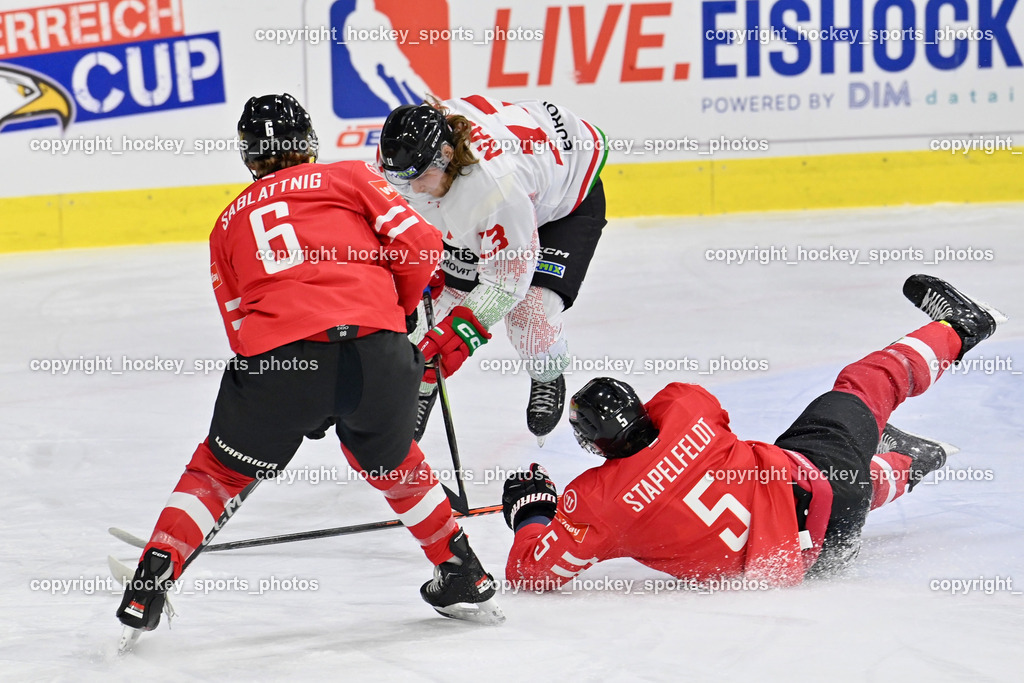 Österreich vs. Ungarn 14.12.2023 | Österreich vs. Ungarn 14.12.2023, Österreich vs. Ungarn  am 14.12.2023 in Klagenfurt (Heidi Horten Arena), Austria, (Photo by Bernd Stefan)