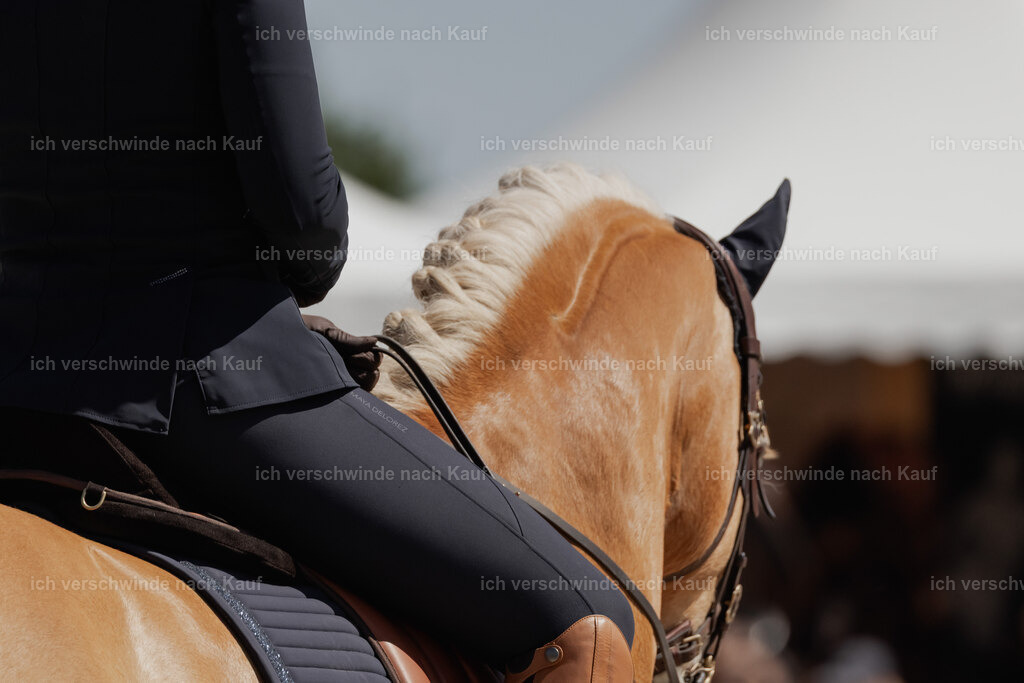 WE_SP_Stoib_308_PI2025_1604 | Pferd International München 2025
