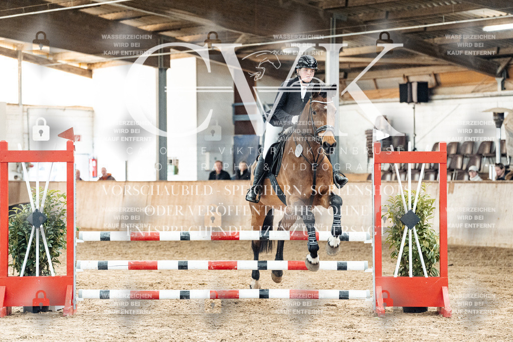 CK904795 | Turnierfotografie Pferdefotografie Trier Rheinland-Pfalz Pferdesport Reitsport Tierfotografie Sportfotografie Pferdevideo Pferdevideografie Equestrianvideography equestrianphotography  - Realized with Pictrs.com