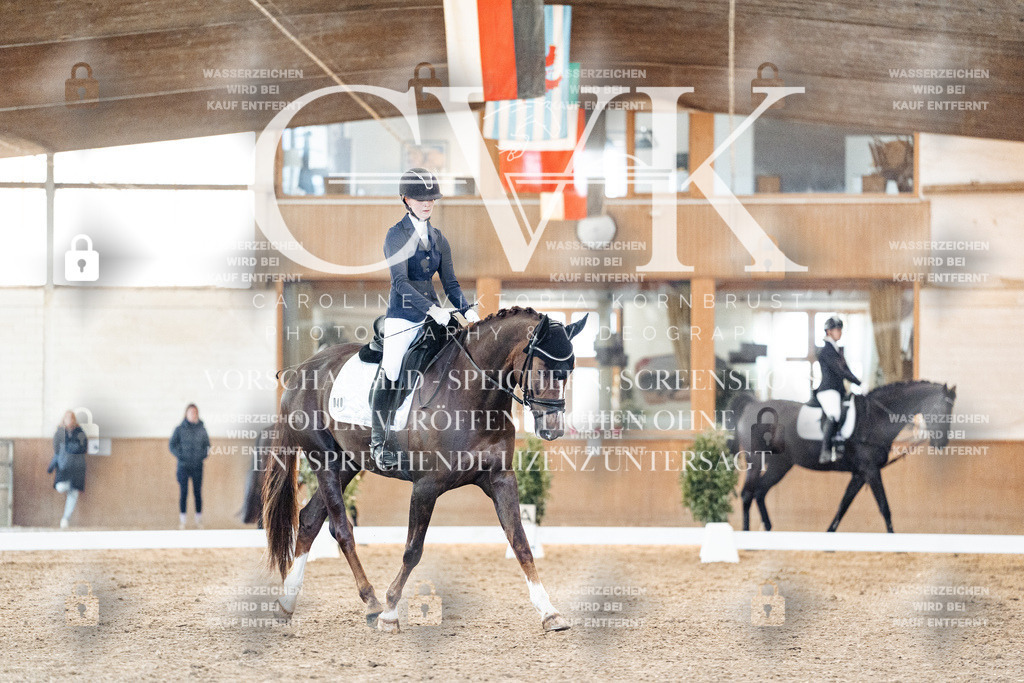 CK906804 | Turnierfotografie Pferdefotografie Trier Rheinland-Pfalz Pferdesport Reitsport Tierfotografie Sportfotografie Pferdevideo Pferdevideografie Equestrianvideography equestrianphotography  - Realisiert mit Pictrs.com