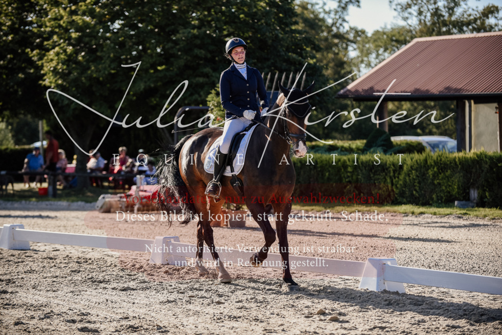 DSC_0656 | Pferde- und Turnierfotografie in Westsachsen. Pferdeportraits, Auftragszeichnungen und intuitive Kunst.