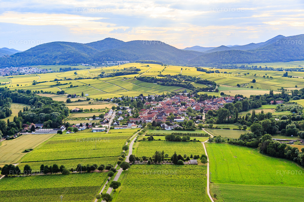 Luftbild: Ortsansicht von Osten im Ortsteil Heuchelheim in Heuchelheim-Klingen im Bundesland Rheinland-Pfalz in Deutschland. Foto: IMG_090203.jpg vom 26.06.2016 durch Werner Riehm/FLY-FOTO.de
