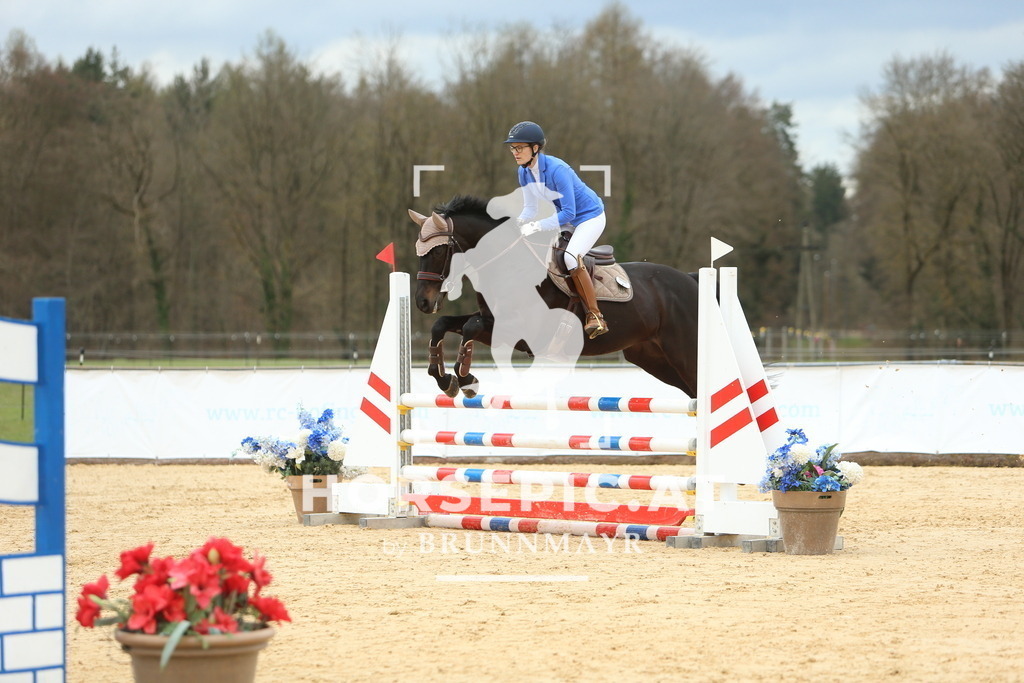 DL2Q2200 | Willkommen bei Brunnmayr - Design & Fotografie – Ihrem Spezialisten für Reitturniere und Pferdeveranstaltungen in Oberösterreich, Salzburg und Bayern! Seit über 17 Jahren sind wir leidenschaftlich dabei.