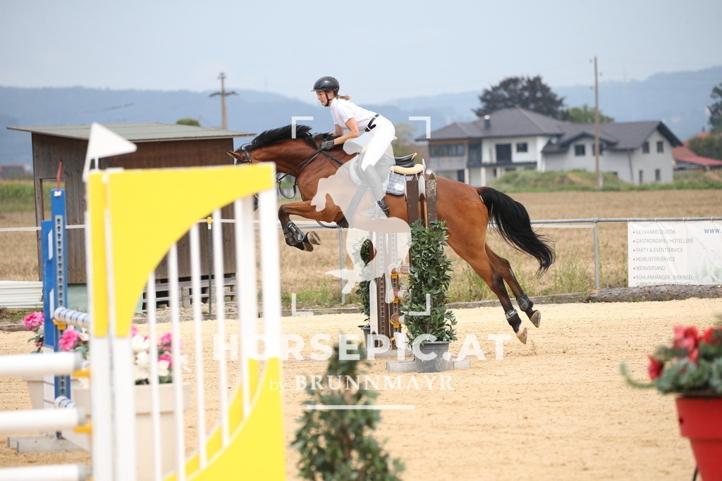 DL2Q3866 | Willkommen bei Brunnmayr - Design & Fotografie – Ihrem Spezialisten für Reitturniere und Pferdeveranstaltungen in Oberösterreich, Salzburg und Bayern! Seit über 17 Jahren sind wir leidenschaftlich dabei.