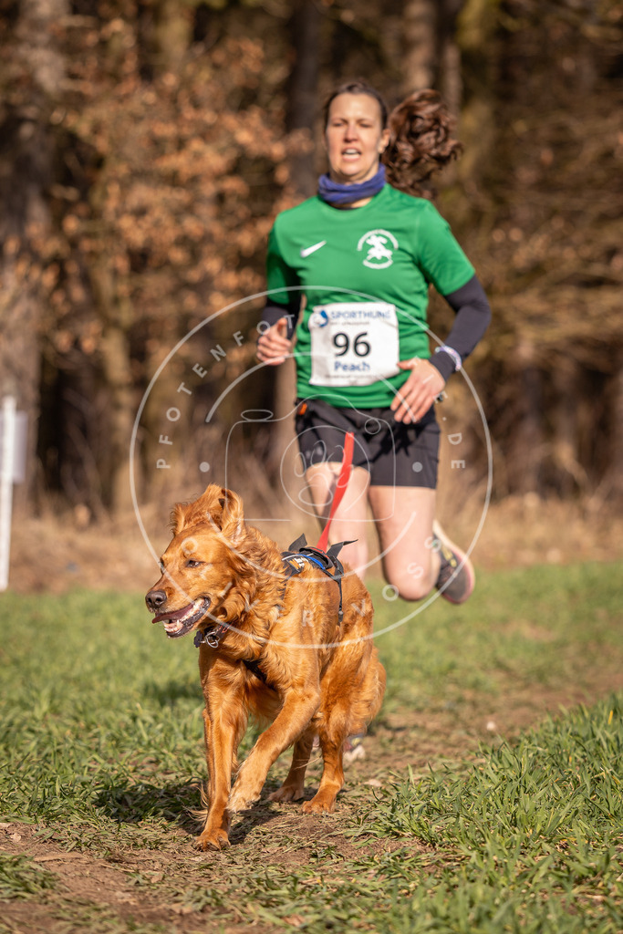 DV3A6285 | Hundefotografie, Tierfotograf, Pfotenfotografie, Fotoshooting Hund, Hunde Portrait, Hundesport, Hundeportraits, Heideshooting, Hunde, Sportfotograf, Hundefotograf, Turnierhundsport, THS,  - Realisiert mit Pictrs.com