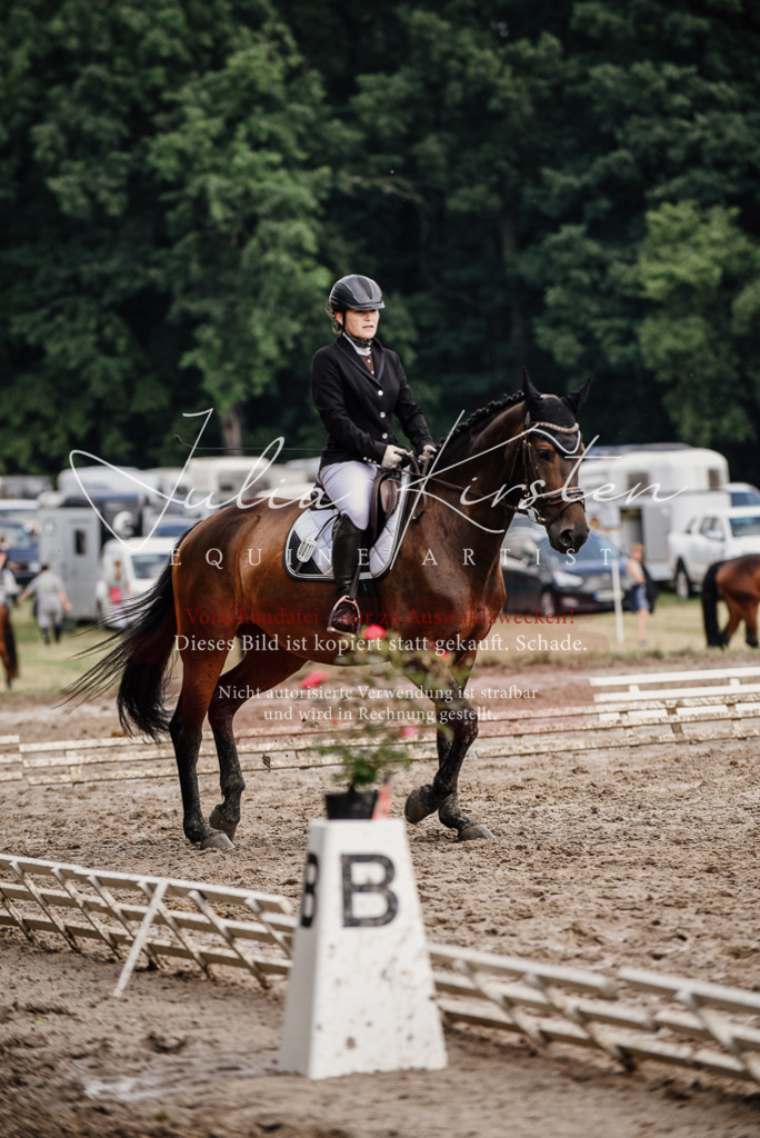 DSC_0767 | Pferde- und Turnierfotografie in Westsachsen. Pferdeportraits, Auftragszeichnungen und intuitive Kunst.