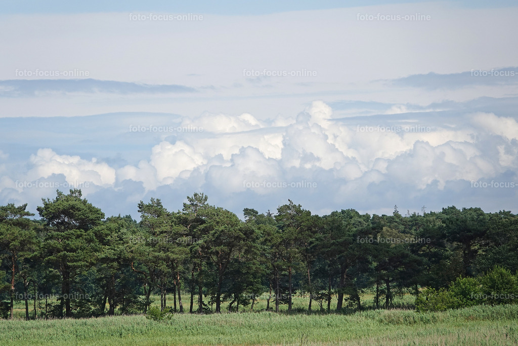 Prerow Bodden Landscape | foto-focus-online