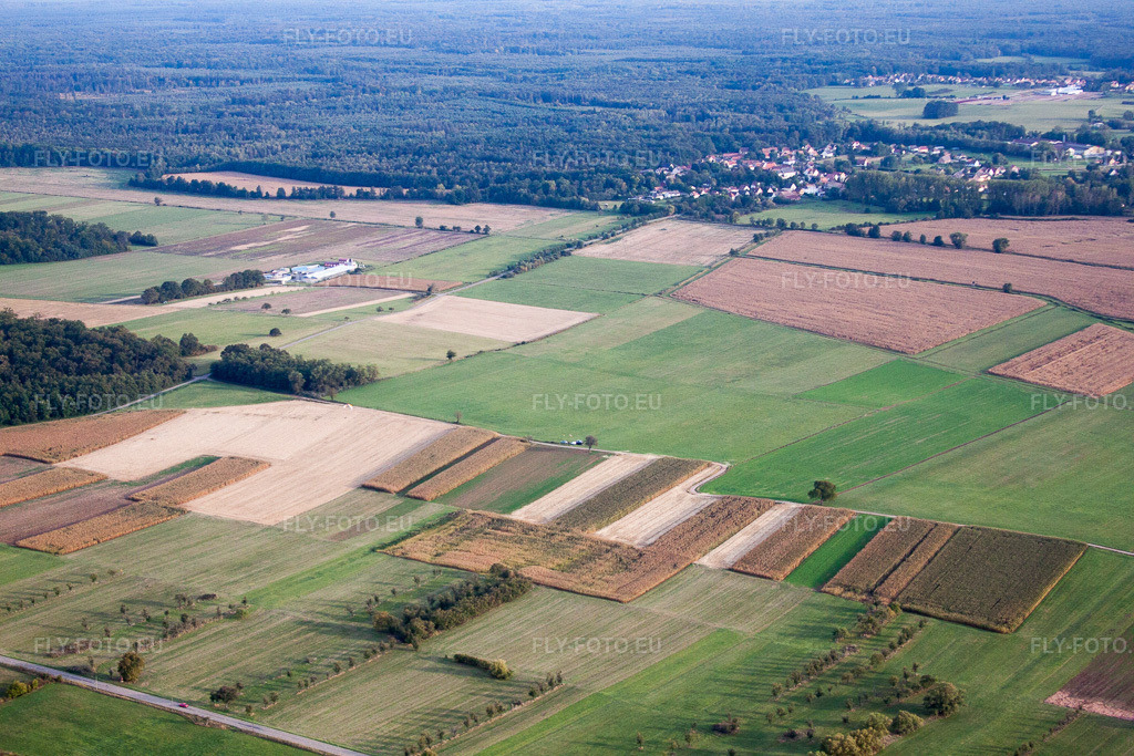 Vue aérienne: Vue de la ville à Dieffenbach-lès-Wœrth dans le département Bas Rhin, France. Photo: IMG_53704.jpg prise le 30/09/2012 par Werner Riehm/FLY-FOTO.eu – Résolution de l'original: 4752 x 3168 px