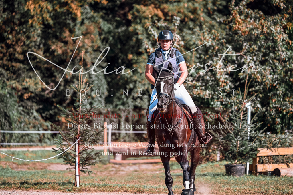 DSC_0601 | Pferde- und Turnierfotografie in Westsachsen. Pferdeportraits, Auftragszeichnungen und intuitive Kunst.