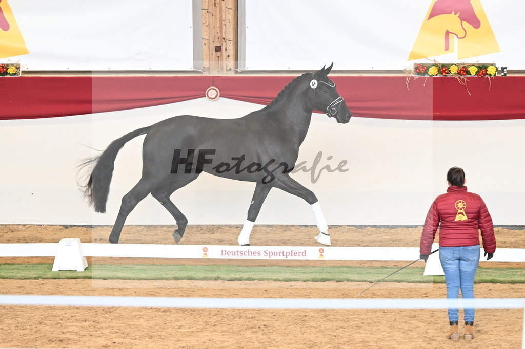 Kat.-Nr. 64 v. Fürst Samarant_Beckmann_3260934 | hf-fotografie - Realizzato con Pictrs.com