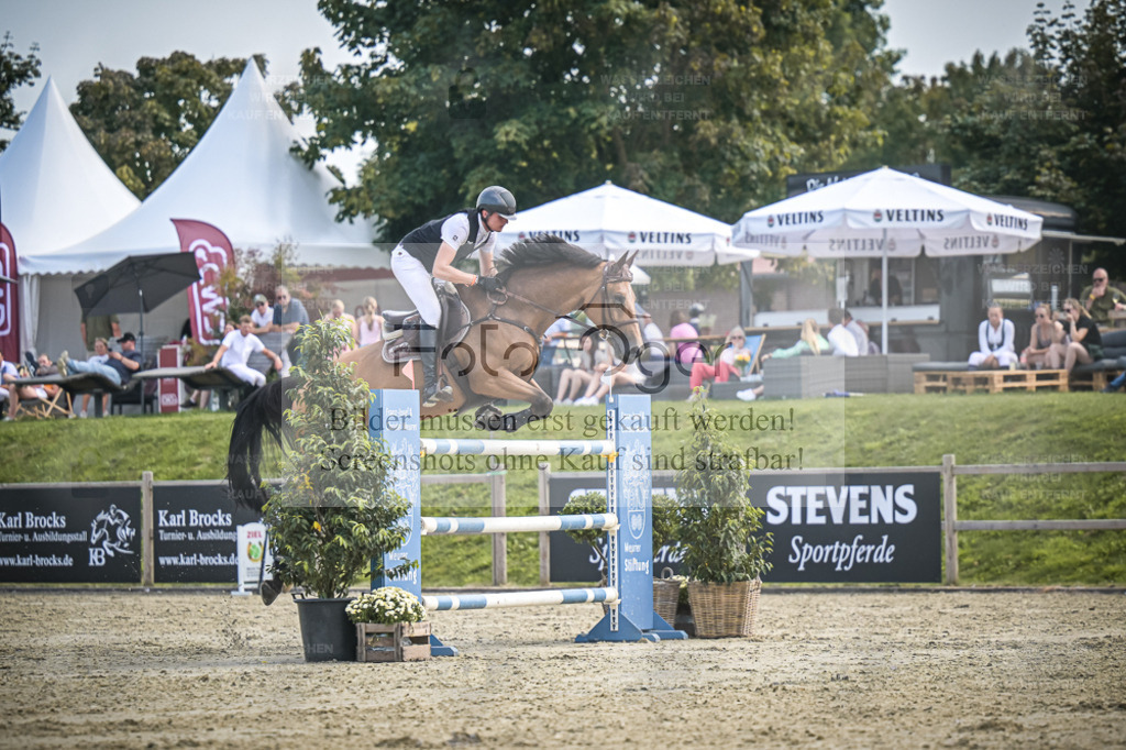 DOS_0765 | Entdecke hochwertige Reitturnierfotos von Foto Oger. Professionell, emotional und authentisch – jetzt Lieblingsmomente im Shop bestellen. - Realisiert mit Pictrs.com