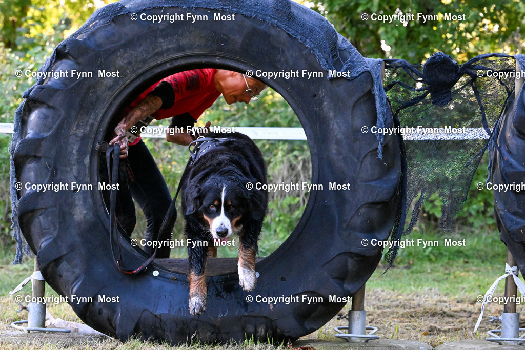 DSC_4536 | Hallo und herzlich Willkommen auf meiner Shop-Seite Fynn Most.

Ich wünsche Dir viel Spaß beim stöbern durch die Bilder, wenn Du Fragen hast oder Bilder vermisst, kannst du mir gerne eine Nachricht schreiben. - Realisiert mit Pictrs.com