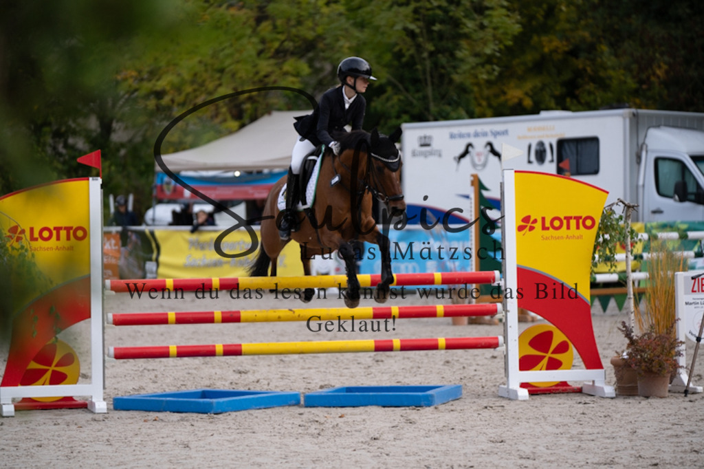 A7V00409 | Pferdefotograf