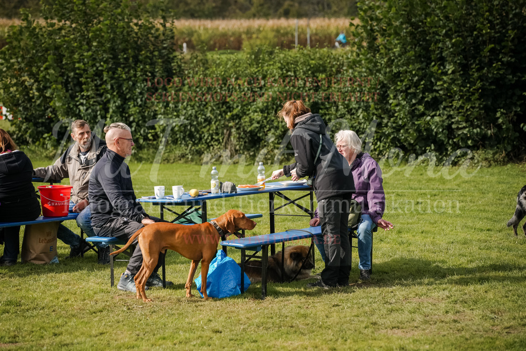 20250928_Hunderennen-358 | MuT (Mensch und Tier) mit Mona - Fotografie und Tierkommunikation - Realisiert mit Pictrs.com
