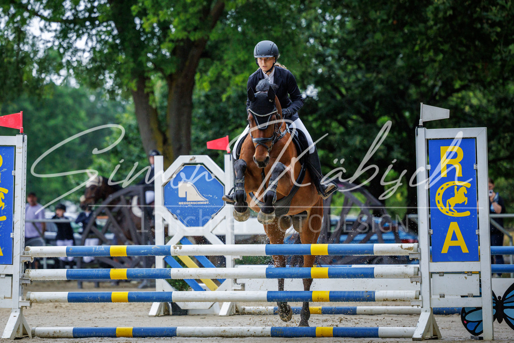 20260705-_3LI3459 | Tierfotografie Pferde, Hunde, Katzen, Haustiere.
Turnierfotografie Reitturniere, Reiten, Springreiten, Dressur in Hanau, dem Main-Kinzig-Kreis und dem Rhein-Main- Gebiet um Frankfurt