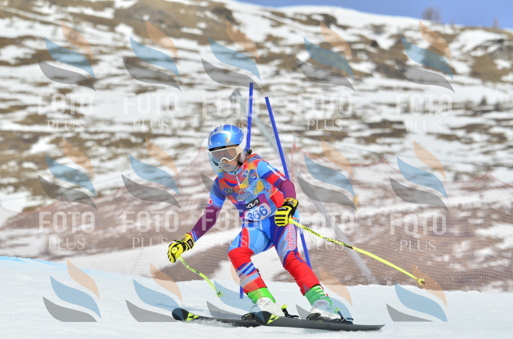 _ELE2947 | holidayphoto