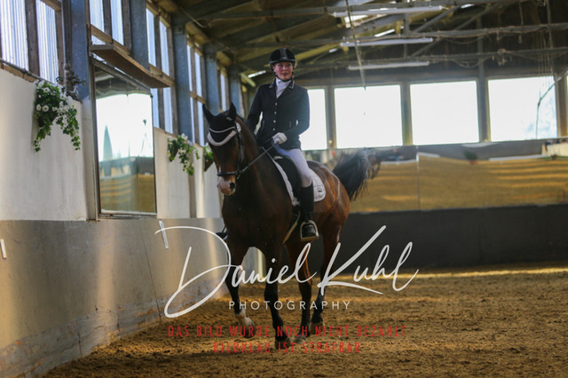 IMG_2881 | Turniersportfotografie; Pferdefotografie; Dressurfotografie