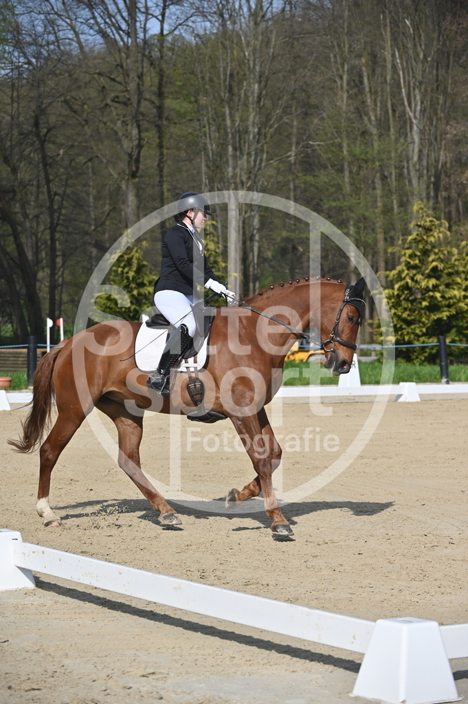 DSC_0473 | sattelsport - Realisiert mit Pictrs.com