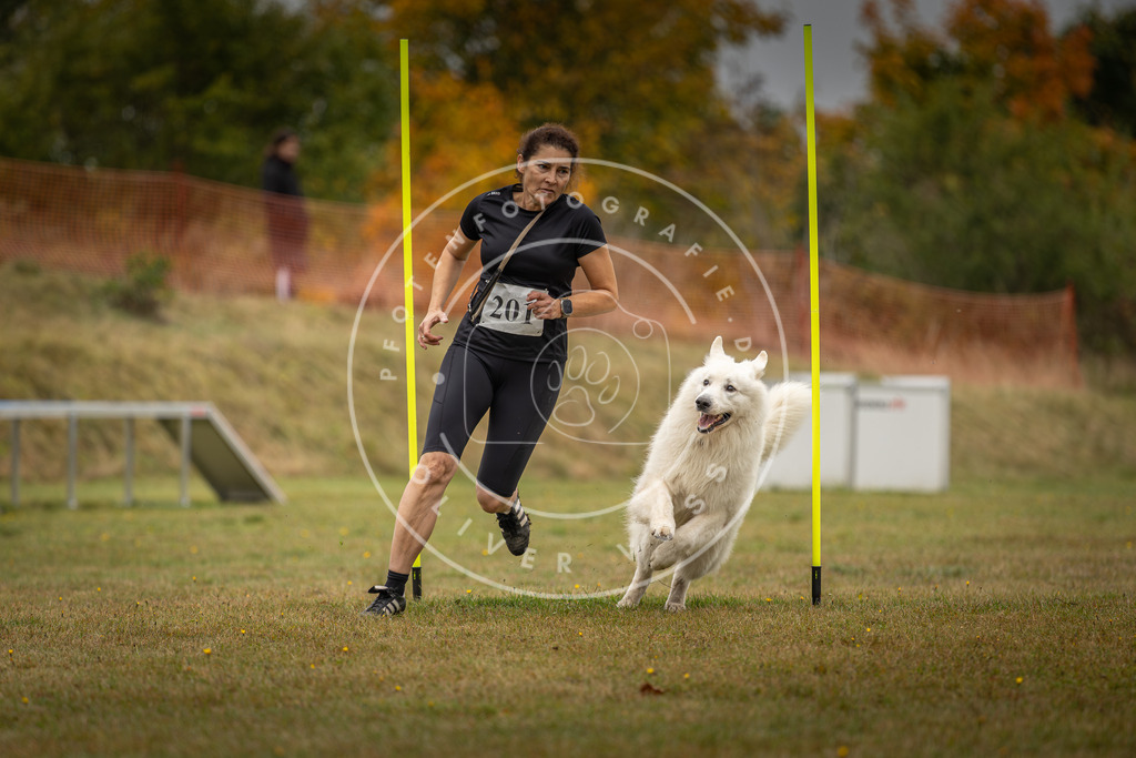 Pfotenfotografie_DV3A1957 | Hundefotografie, Tierfotograf, Pfotenfotografie, Fotoshooting Hund, Hunde Portrait, Hundesport, Hundeportraits, Heideshooting, Hunde, Sportfotograf, Hundefotograf, Turnierhundsport, THS,  - Realisiert mit Pictrs.com