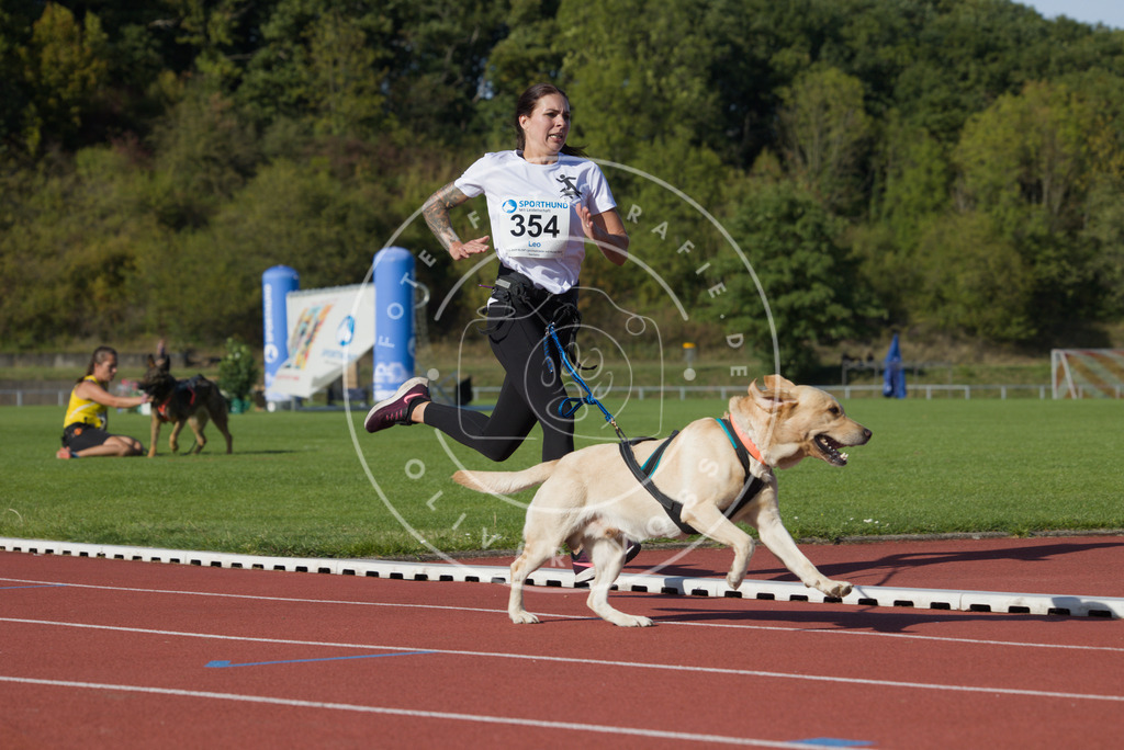 0L8A0064 | Hundefotografie, Tierfotograf, Pfotenfotografie, Fotoshooting Hund, Hunde Portrait, Hundesport, Hundeportraits, Heideshooting, Hunde, Sportfotograf, Hundefotograf, Turnierhundsport, THS,  - Realisiert mit Pictrs.com