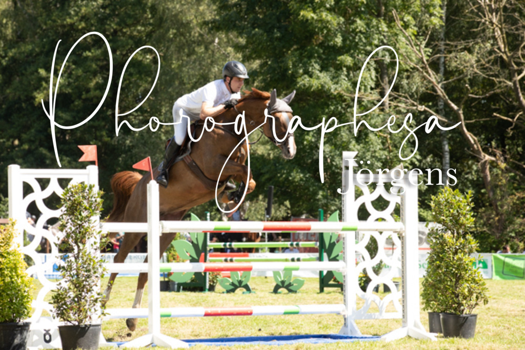 IMG_9164 | photographesa-joergens - Realisiert mit Pictrs.com