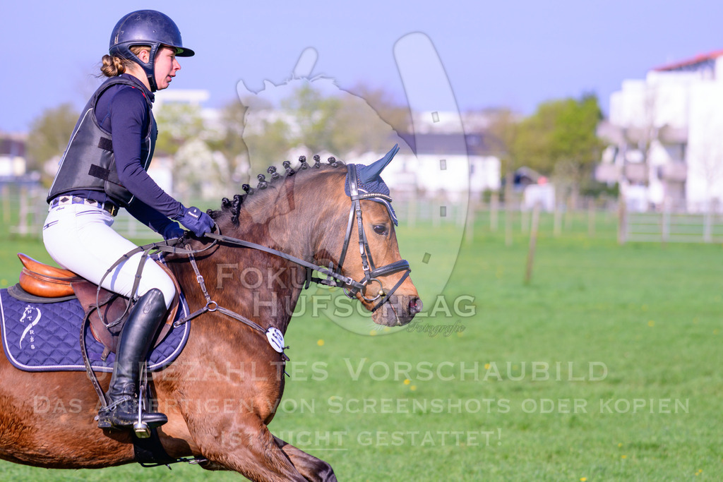 18042026-Gernlinden-02-0318 | Fokus Hufschlag Fotografie - Realisiert mit Pictrs.com