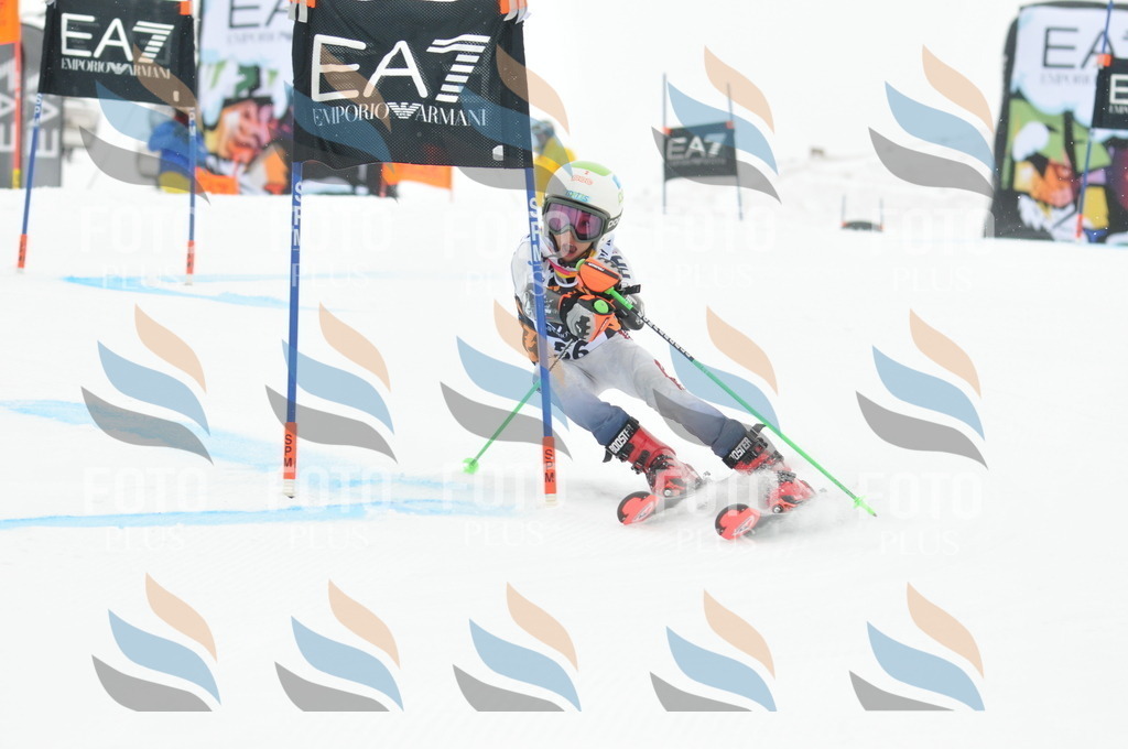 DSC_7761 | holidayphoto