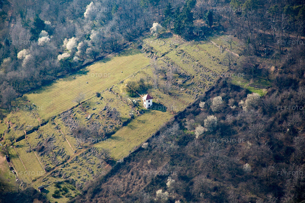 Luftbild: Rebhäusel im Ortsteil Diedesfeld in Neustadt im Bundesland Rheinland-Pfalz in Deutschland. Foto: IMG_086508.jpg vom 18.03.2016 durch Werner Riehm/FLY-FOTO.de