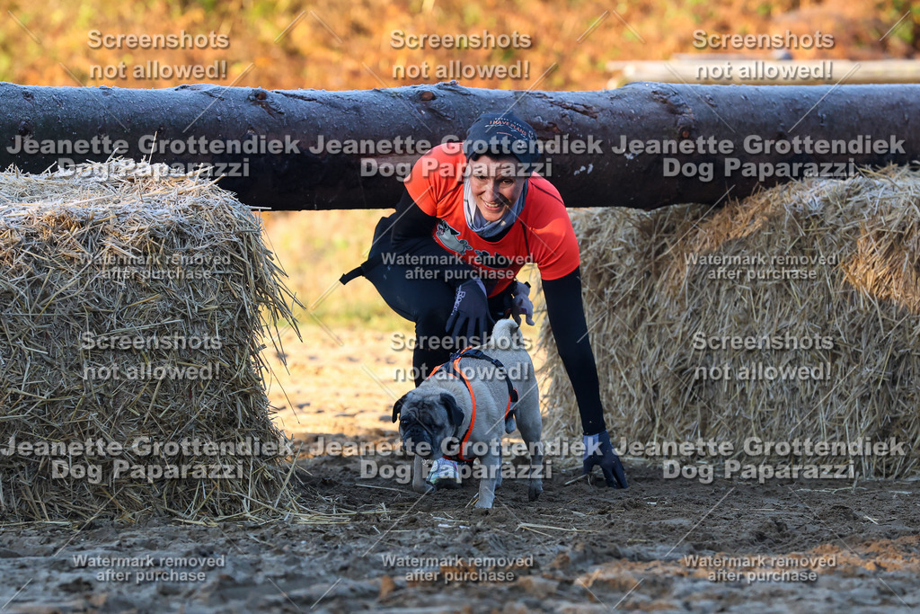 Dog Paparazzi - Strongdog 10-25-549 | Dog Paparazzi Jeanette Grottendiek Fotografie & Videografie - Realisiert mit Pictrs.com