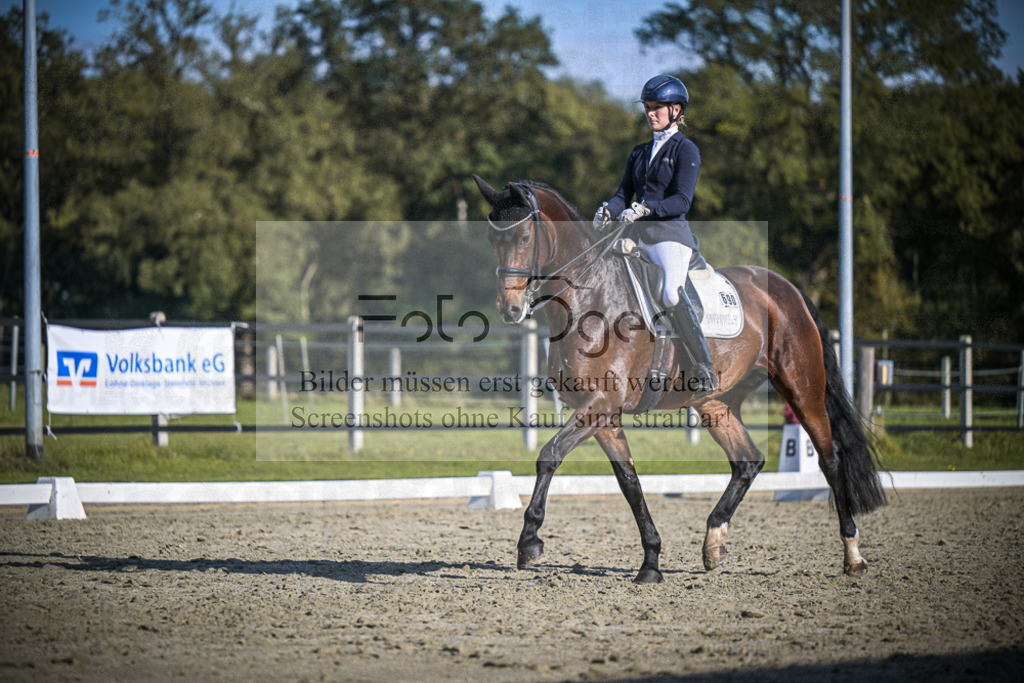 DOS_B811 | Entdecke hochwertige Reitturnierfotos von Foto Oger. Professionell, emotional und authentisch – jetzt Lieblingsmomente im Shop bestellen.Deutschlandweite Turnierfotografie. - Realisiert mit Pictrs.com