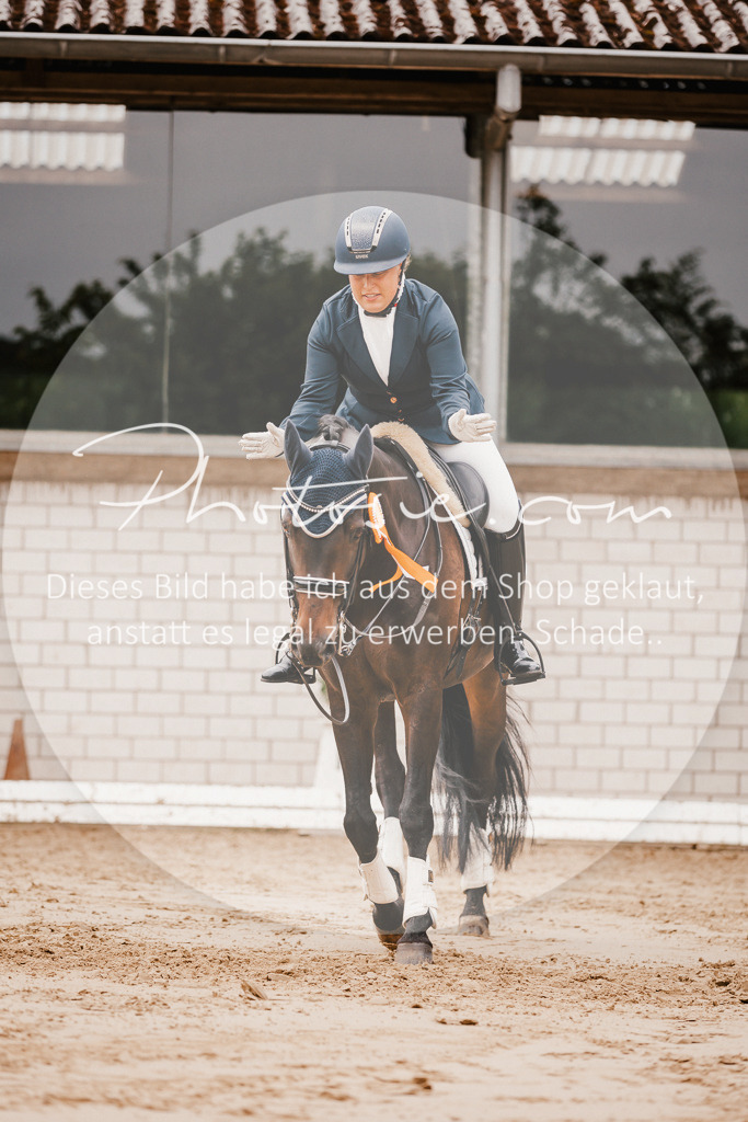 3I6A7883 | Stimmungsvolle Portraits und Reitsportfotografie im Ruhrgebiet und im Münsterland.

Pferdefotografie, Hundefotografie, Tierfotografie, Reportagen, Portraits von Tier und Mensch, Turnierfotografie in Bochum, Recklinghausen, Marl, Haltern am See, Dülmen.. - Realisiert mit Pictrs.com