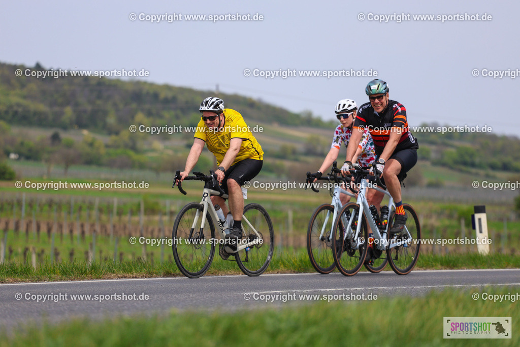 IMG_3111 | @sportshot_your_pictrs #yourpictures#roadtowm2029 #nrm #neusiedlerseeradmarathon #neusiedlersee #neusiedlerseetourismus #burgenland #mörbisch #nrm26 #burgenlandtourismus #voglundco #poweredbyburgenlandtourismus #radsport #rad #marathon #ucigranfondo #visitburgenland #ucigranfondoworldseries