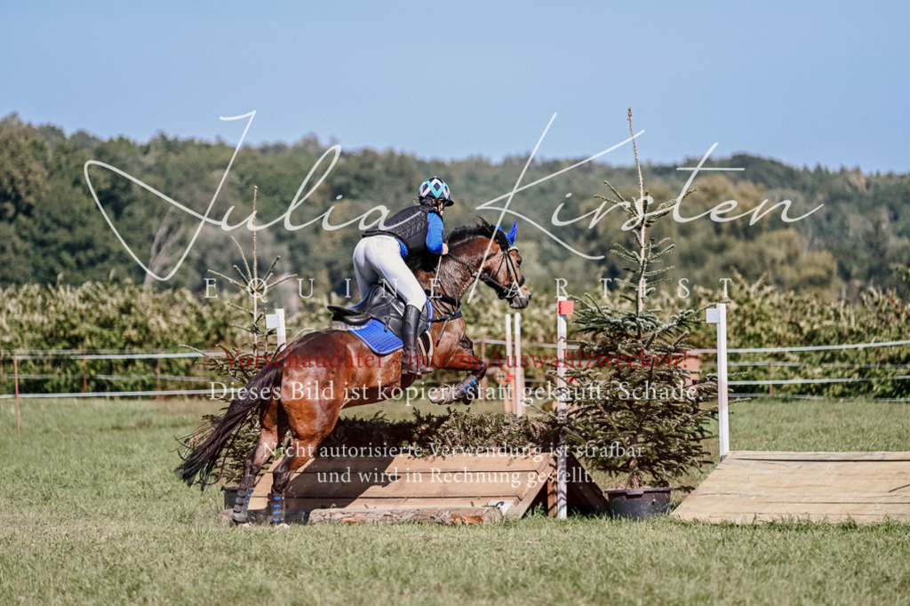DSC_3108 | Pferde- und Turnierfotografie in Westsachsen. Pferdeportraits, Auftragszeichnungen und intuitive Kunst.