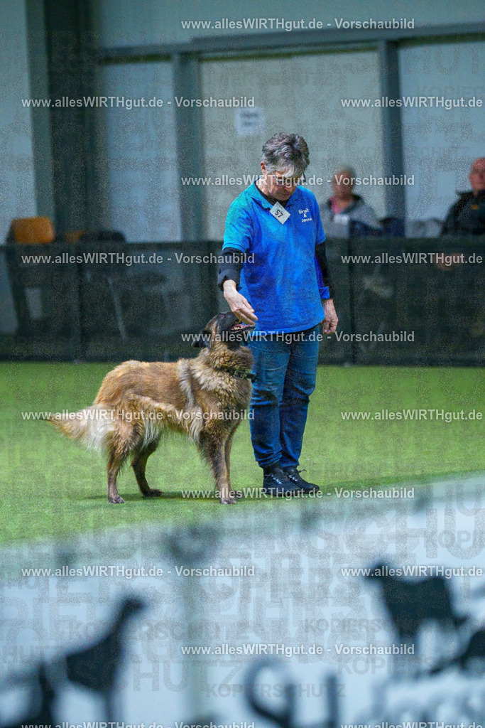 7R502624 | Professionelle Tierfotografie in Mönchengladbach von Daniel Wirth (allesWIRTHgut). Liebevolle & natürliche Bilder von Hunden & Katzen für unvergessliche Erinnerungen.