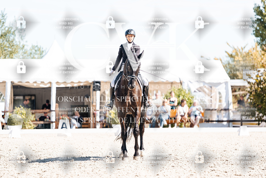 CK909854 | Turnierfotografie Pferdefotografie Trier Rheinland-Pfalz Pferdesport Reitsport Tierfotografie Sportfotografie Pferdevideo Pferdevideografie Equestrianvideography equestrianphotography  - Realisiert mit Pictrs.com