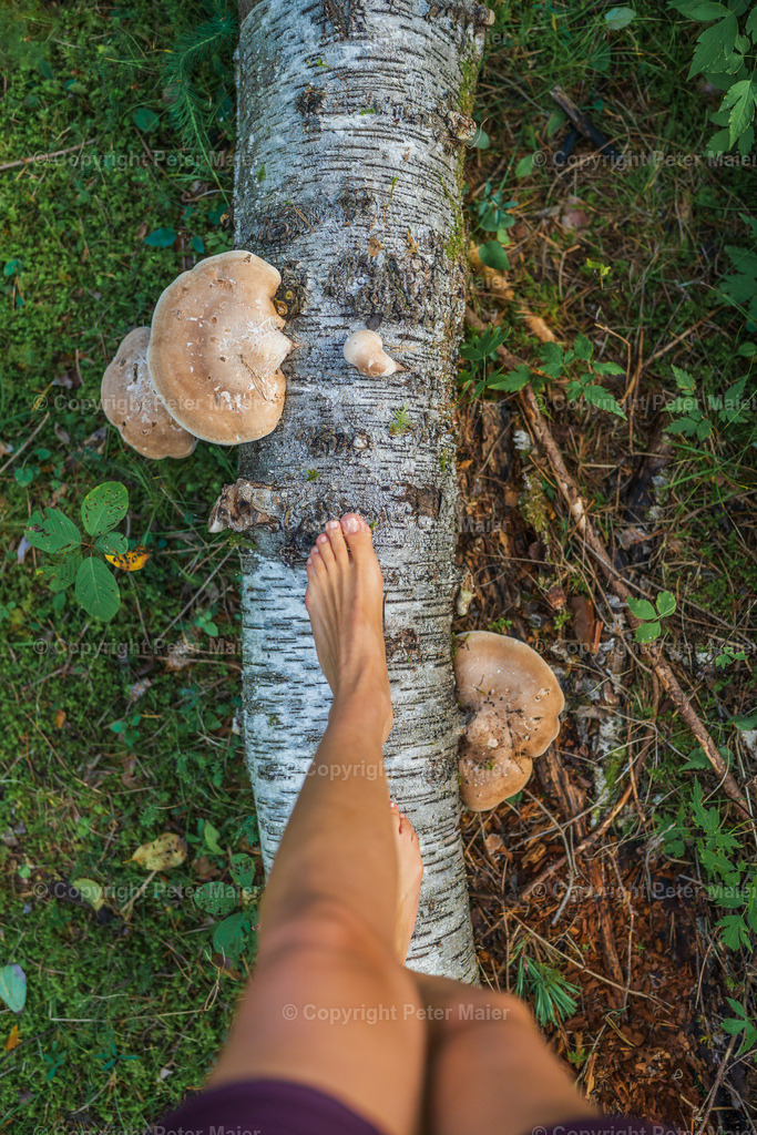 Talboden_Osttirol_Erlebnisraum_Wald_23_Peter_Maier-1590 | piet_flosse