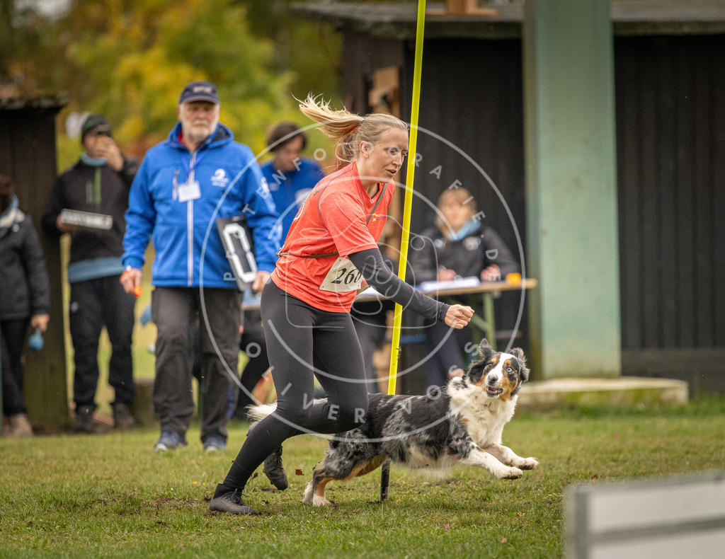 Pfotenfotografie_DV3A7092 | Hundefotografie, Tierfotograf, Pfotenfotografie, Fotoshooting Hund, Hunde Portrait, Hundesport, Hundeportraits, Heideshooting, Hunde, Sportfotograf, Hundefotograf, Turnierhundsport, THS,  - Realisiert mit Pictrs.com