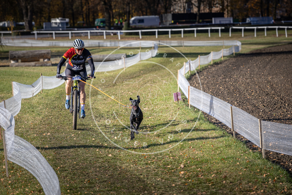 CaniXpix_DV3A4888 | Hundefotografie, Tierfotograf, Pfotenfotografie, Fotoshooting Hund, Hunde Portrait, Hundesport, Hundeportraits, Heideshooting, Hunde, Sportfotograf, Hundefotograf, Turnierhundsport, THS,  - Realisiert mit Pictrs.com